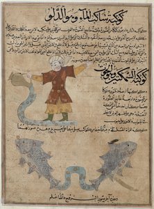 Ms E-7 fol.25a Wassermann und Fische, aus 